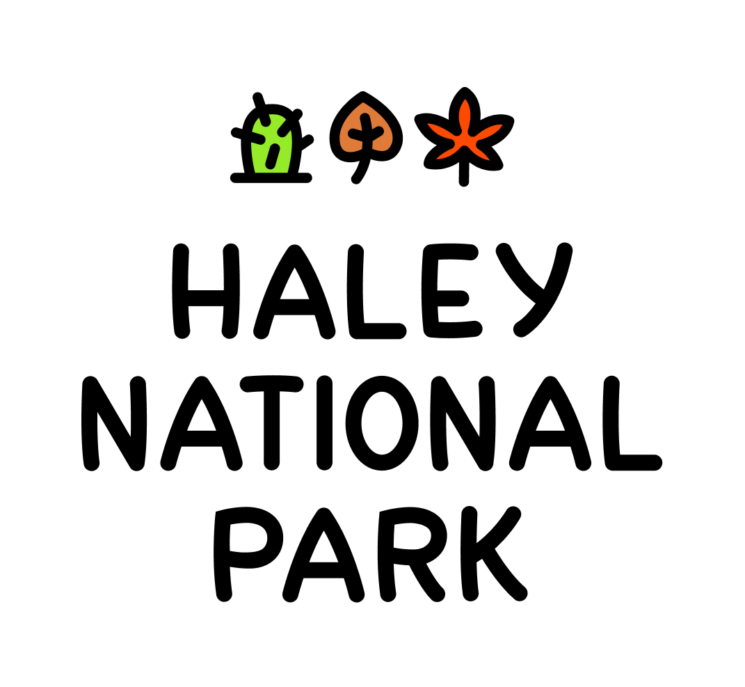 Park Wiggle font preview