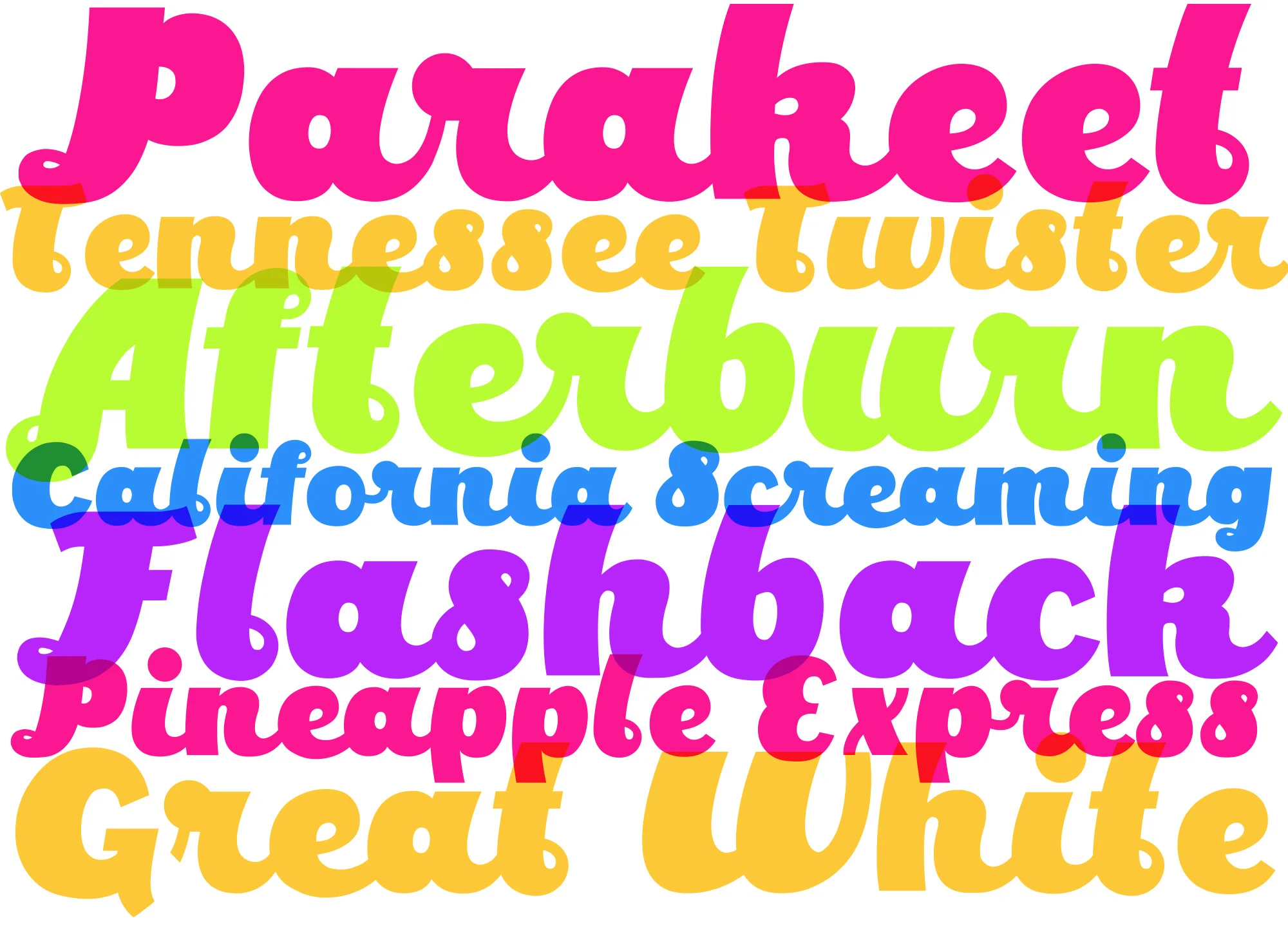 Parakeet